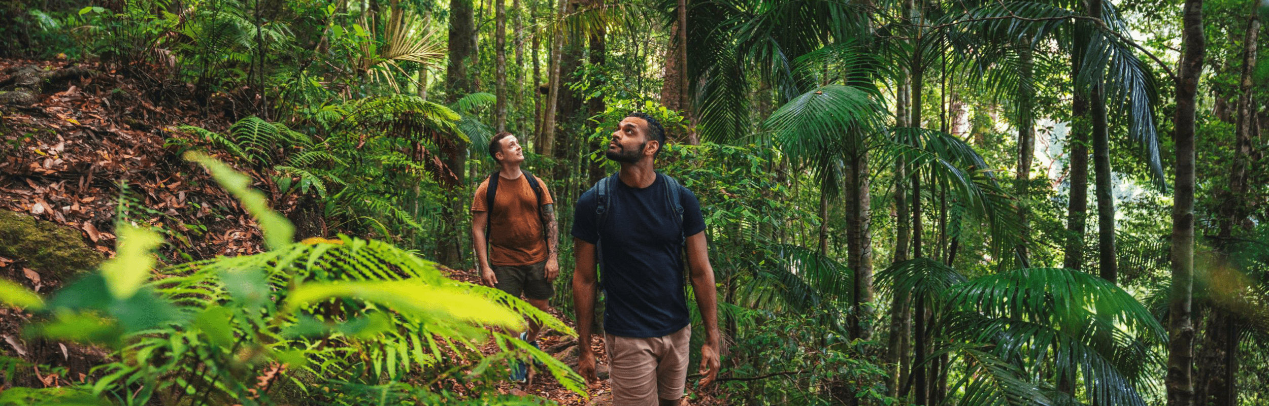 Sustainable Travel: How to Explore Australia Responsibly